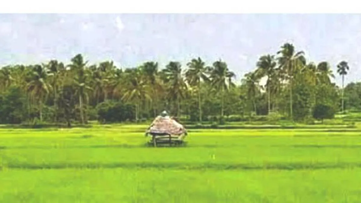 kanjikode