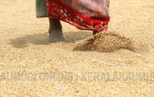 farmer