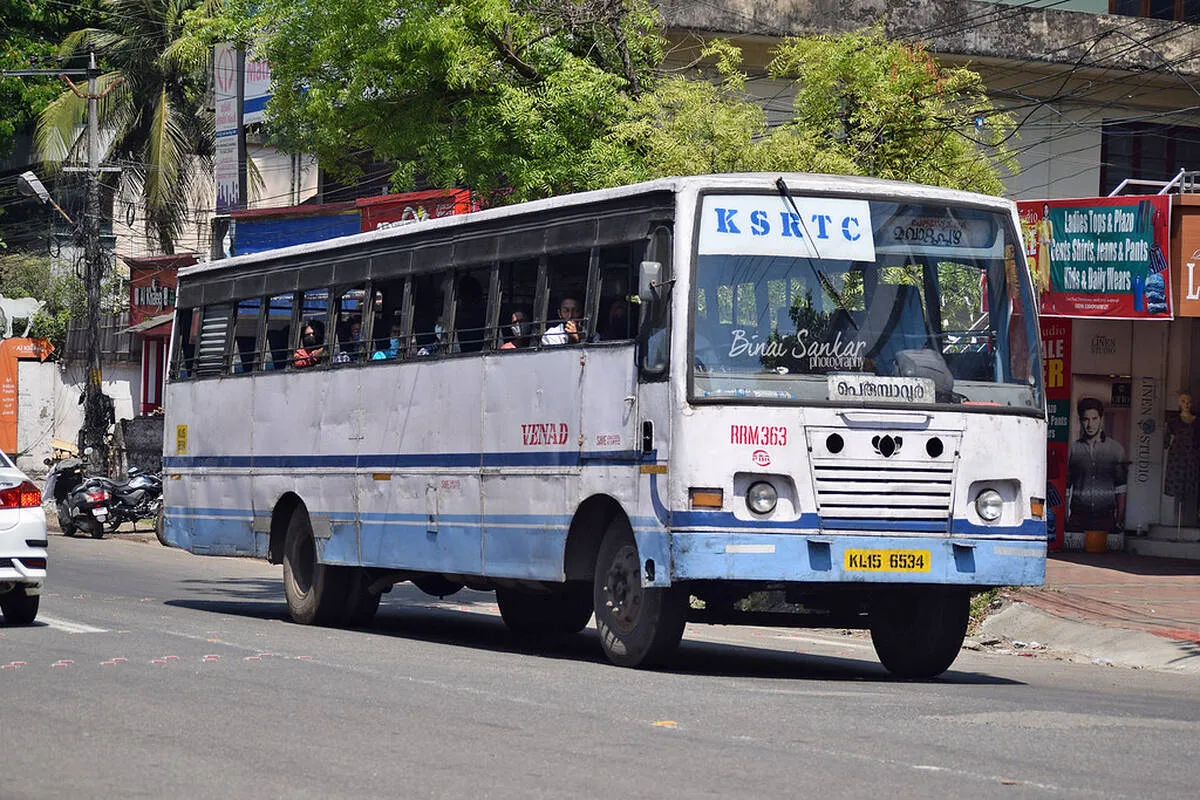 bus bus