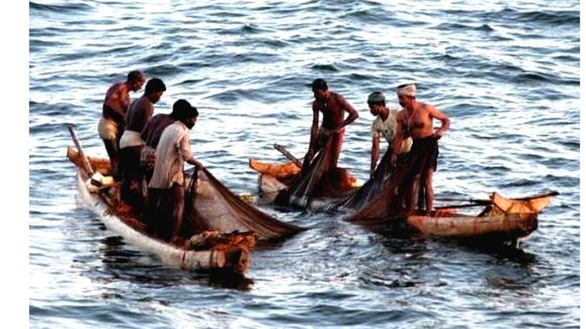 fish-