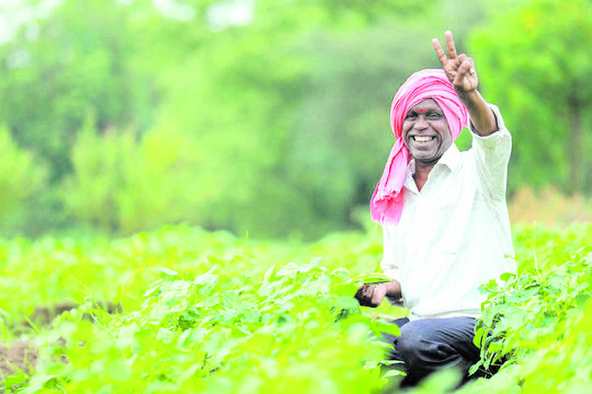 farmer