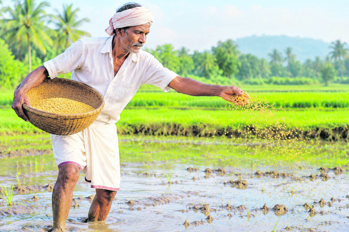 krishi