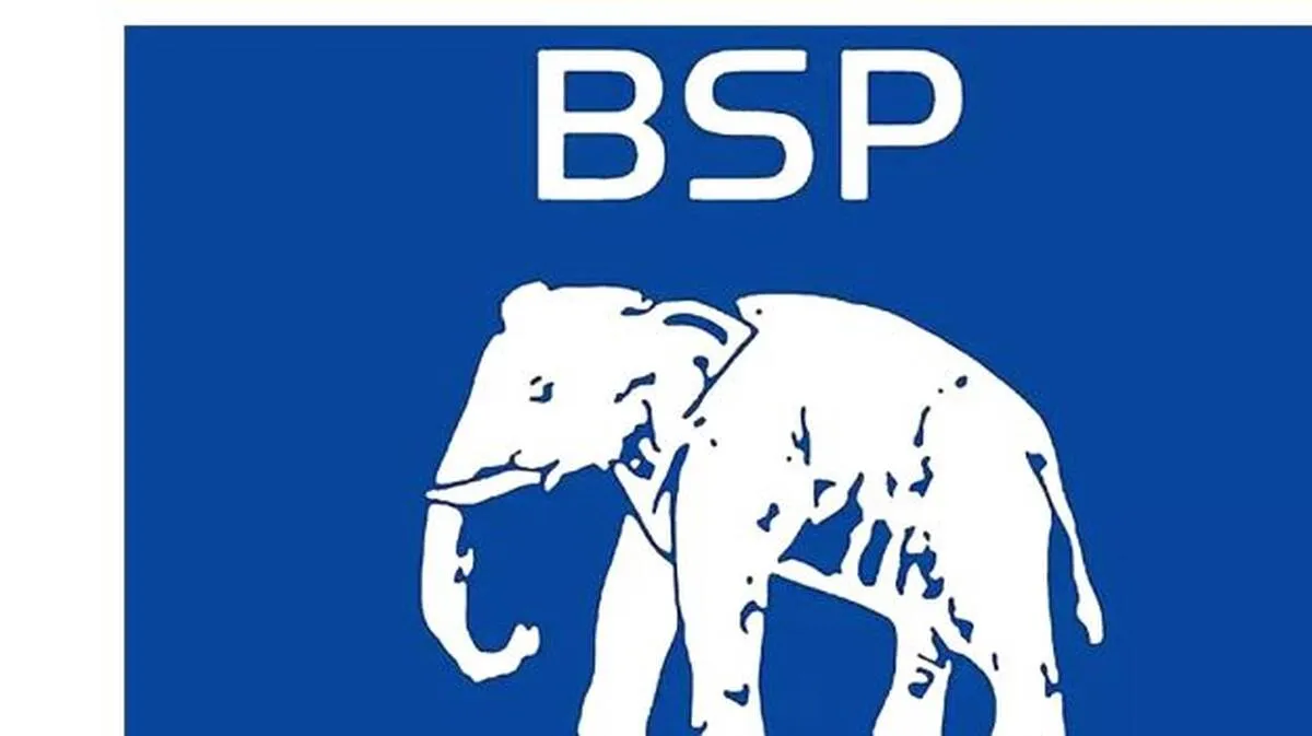 bsp bsp