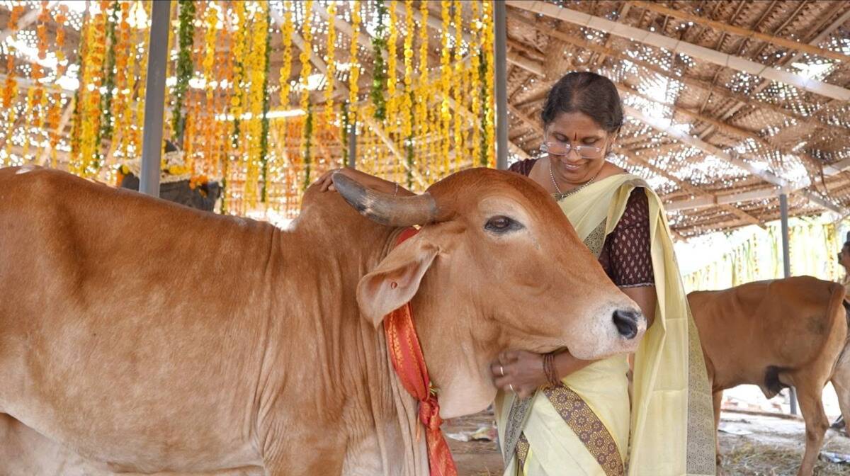kalyani