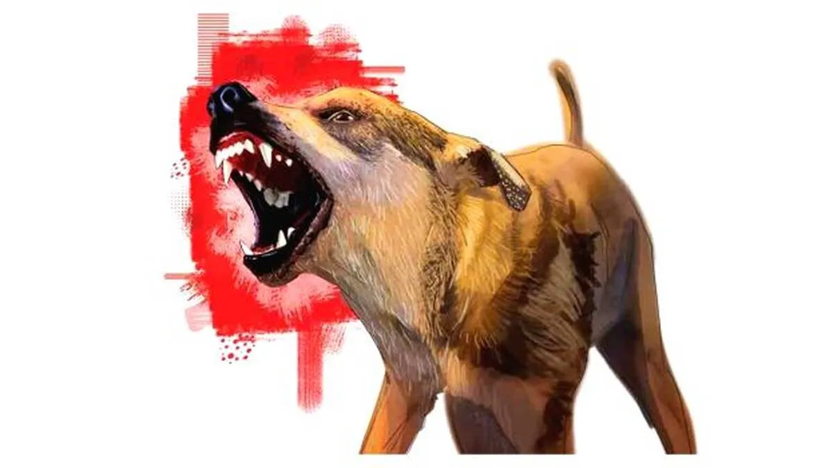 d d