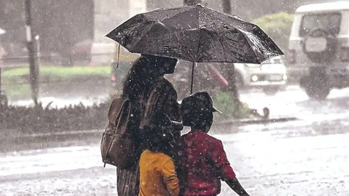 rain