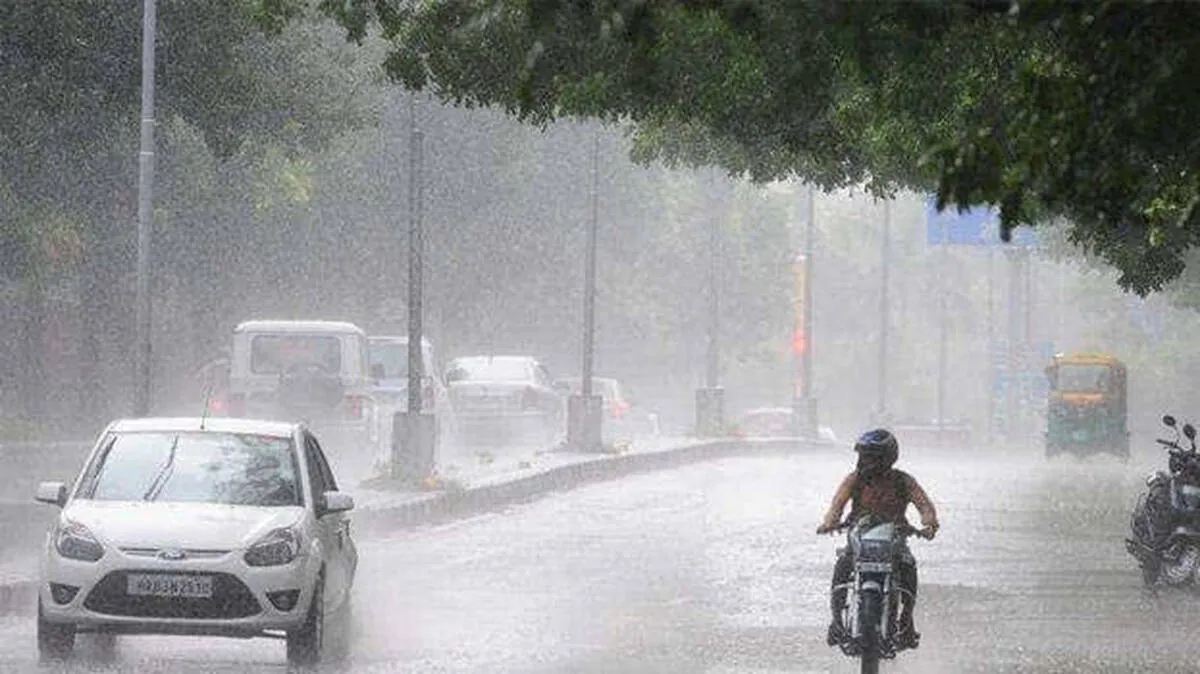 rain- rain-