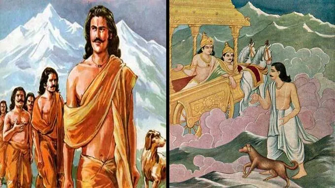 yudhishtir,-dog
