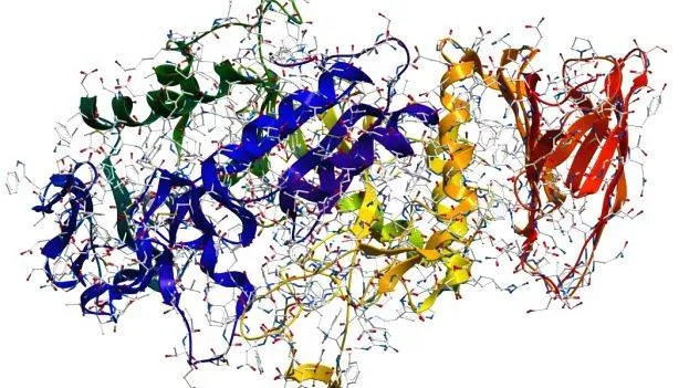 enzymes