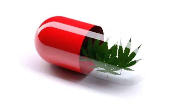 cannabis