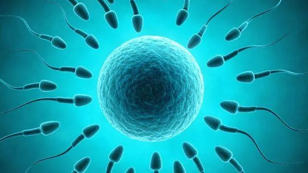 sperm-count