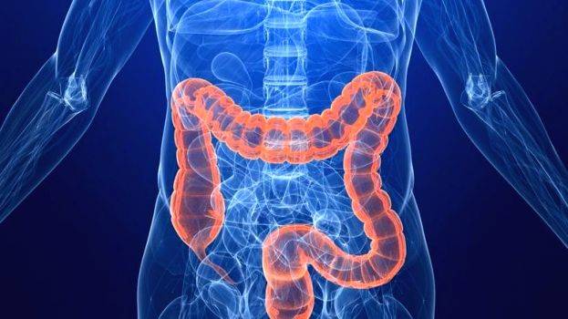 Colon cancer growth reduced by exercise