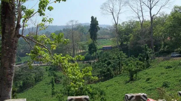 nilakkal