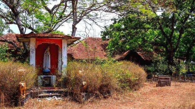 udaya-studio udaya-studio