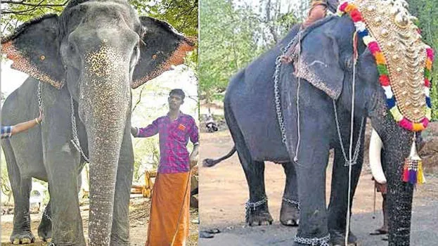 thoothapooram