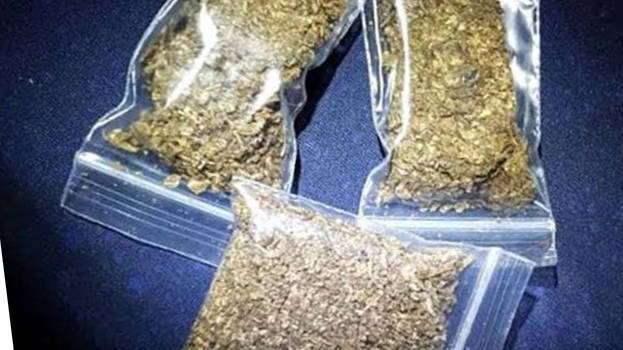 ASI suspended for 'buying ganja to use it as evidence against ganja peddlers' - KERALA - GENERAL | Kerala Kaumudi Online