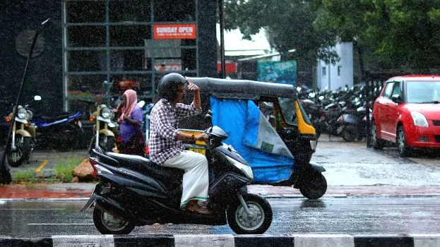 rain-2
