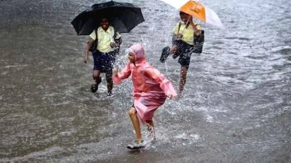 rain