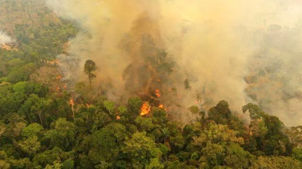 amazon-fire