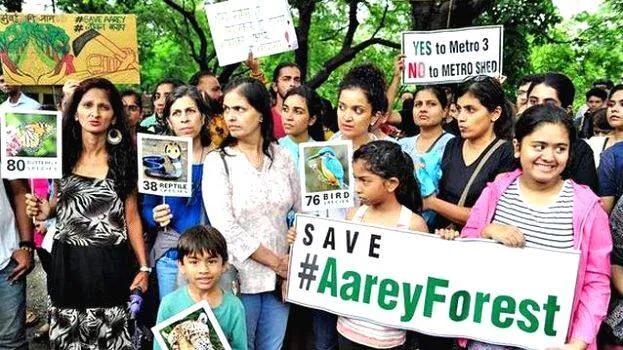 aarey