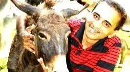donkey-milk