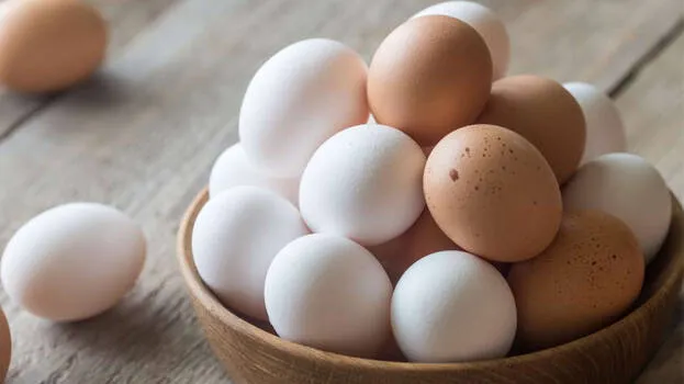 eggs