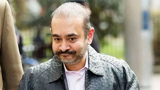 neerav-modi-