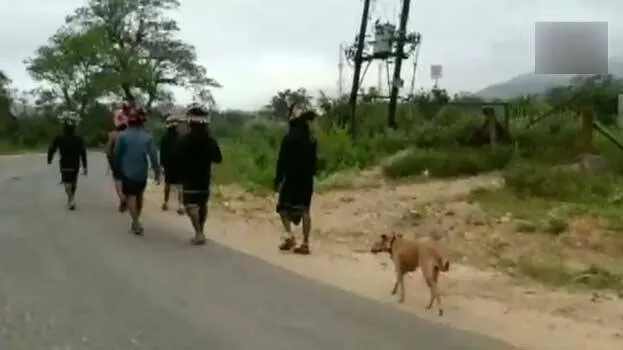 dog