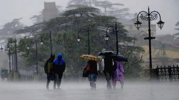 rain-