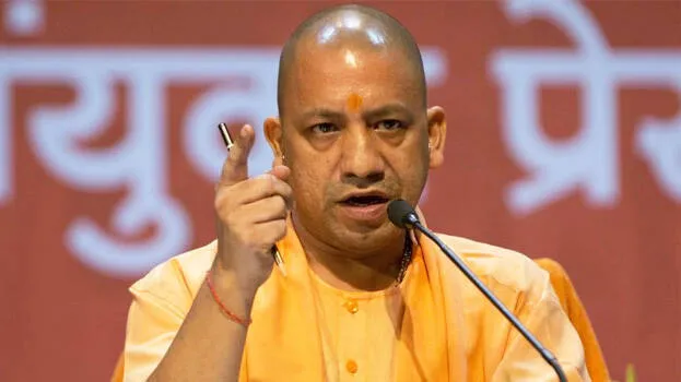 yogi