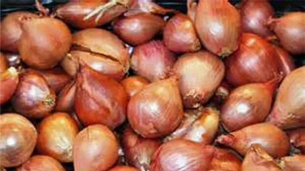 shallots