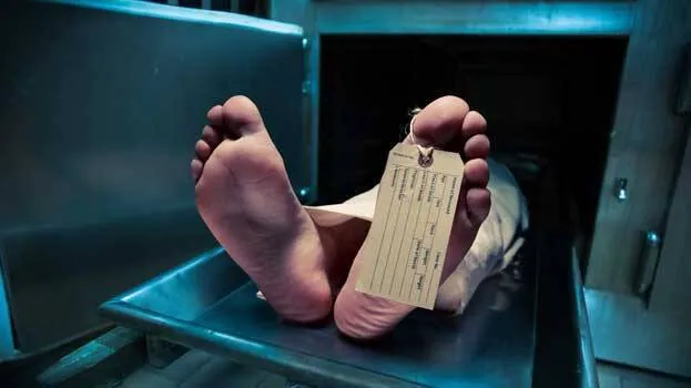 dead-body