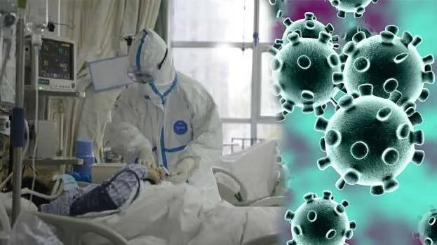 coronavirus