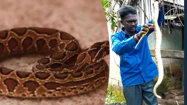 vava-suresh