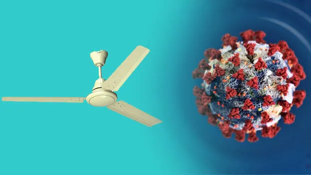 fan