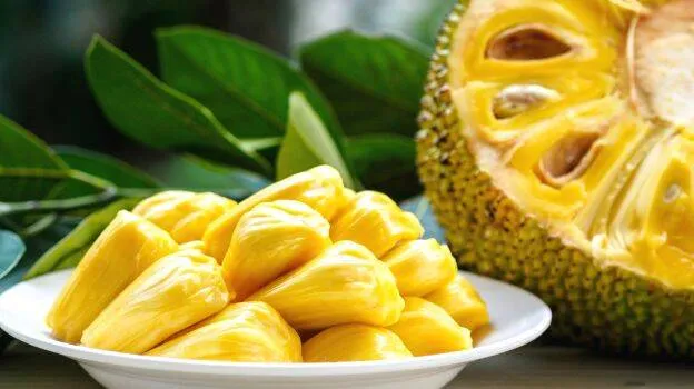 jackfruit