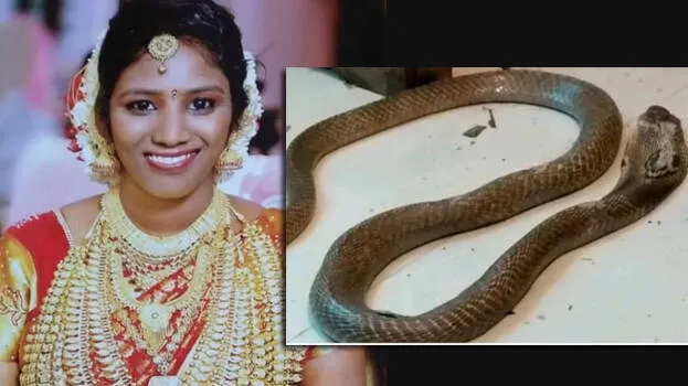 uthara-