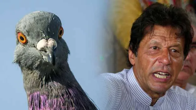 imran-khan
