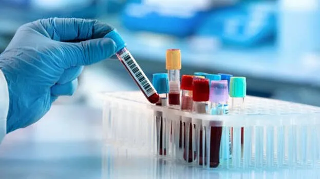 lab