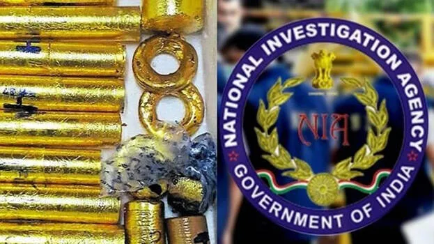 gold-smuggling