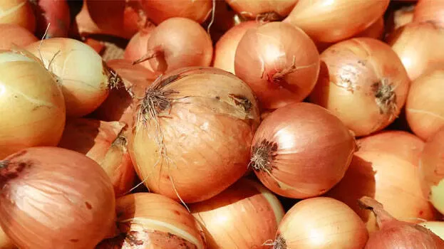 onion