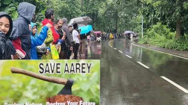 aarey-forest