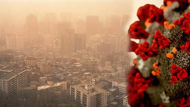 chinese-dust-