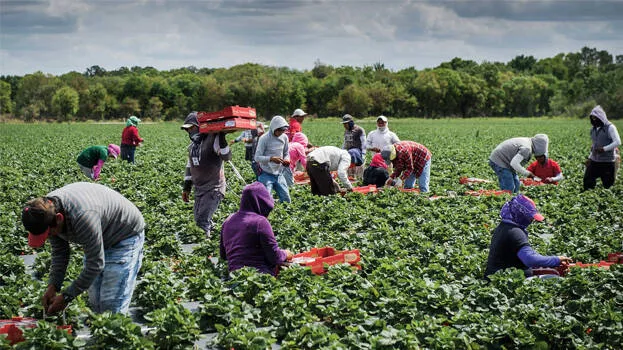 farmers