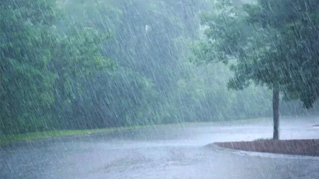 rain