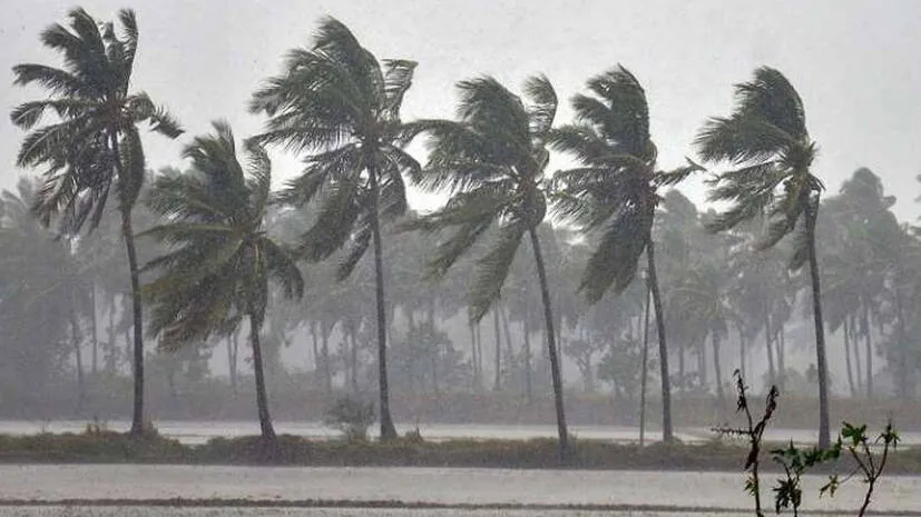 cyclone