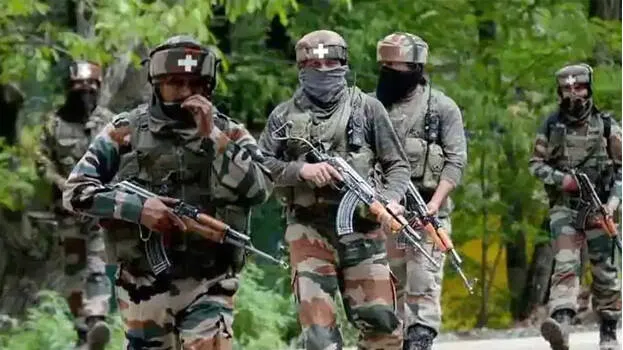 army