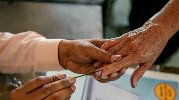 local-body-polls local-body-polls