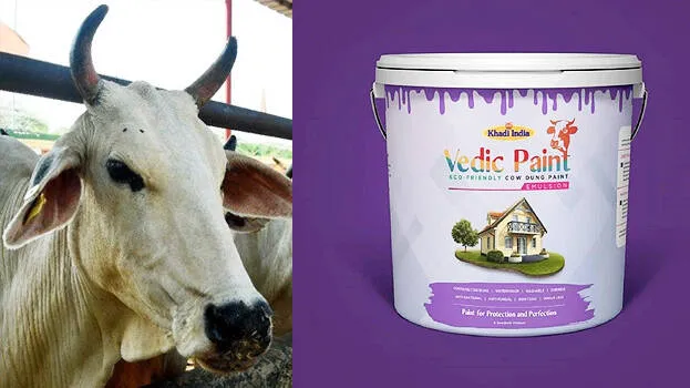 vedic-paint