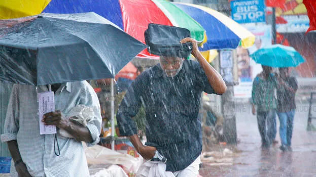 rains